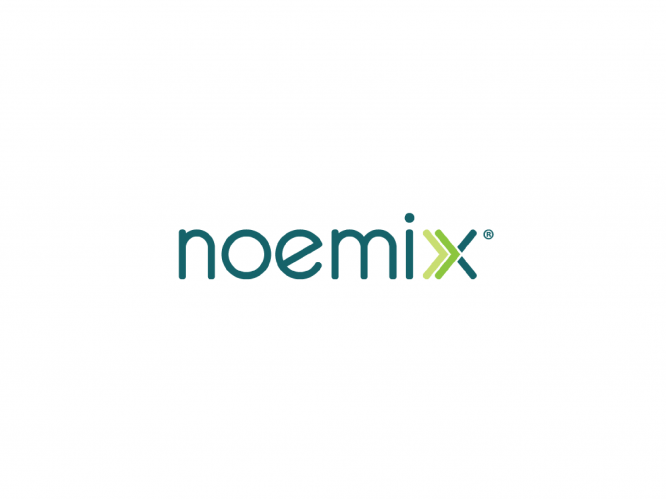 logofolio logo design Noemix